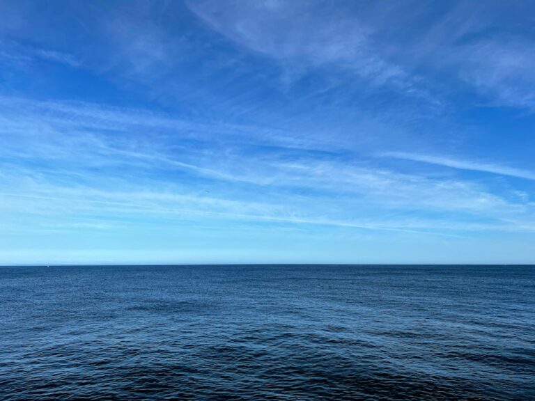 different kind of blue