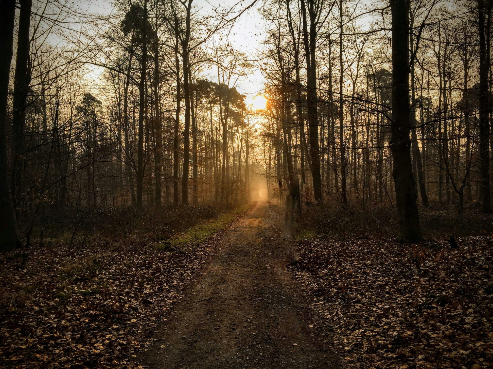 Morgenspaziergang