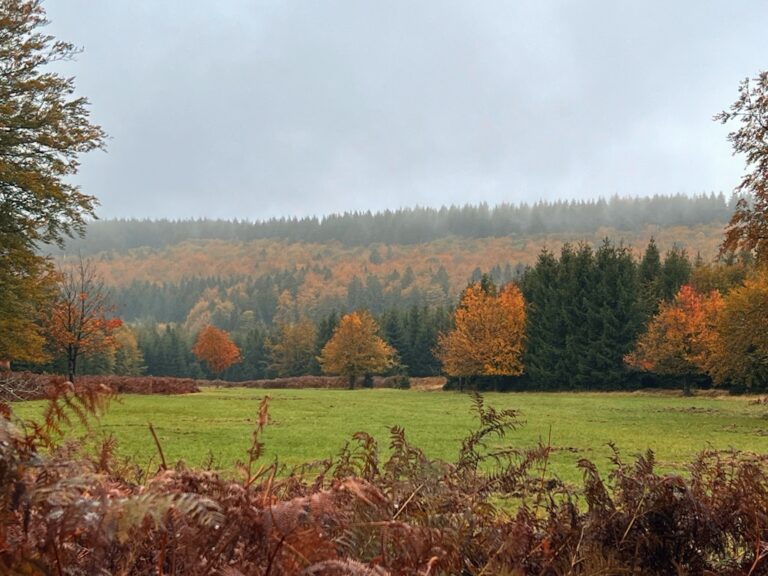 Herbst