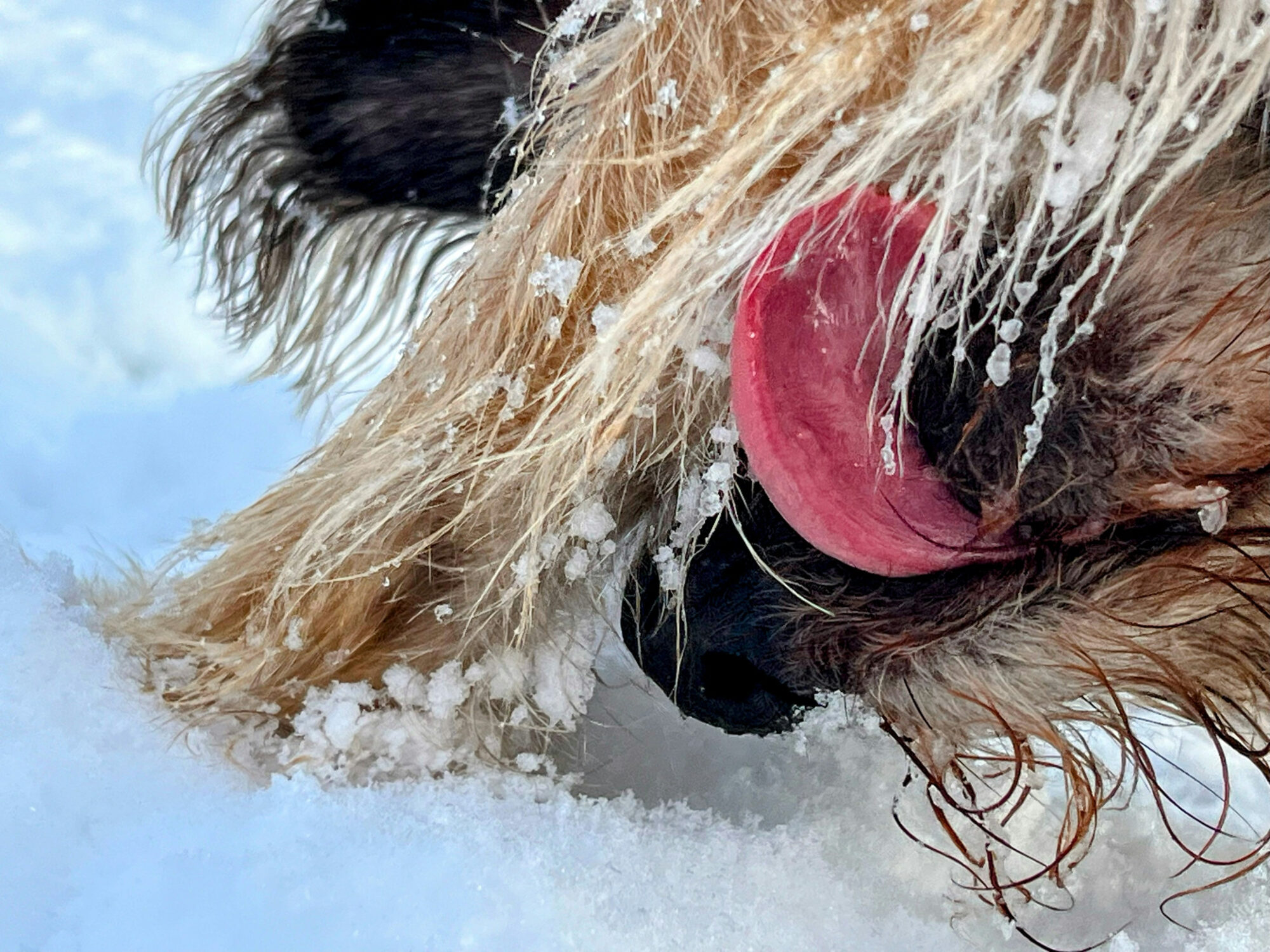 Eisklumpen