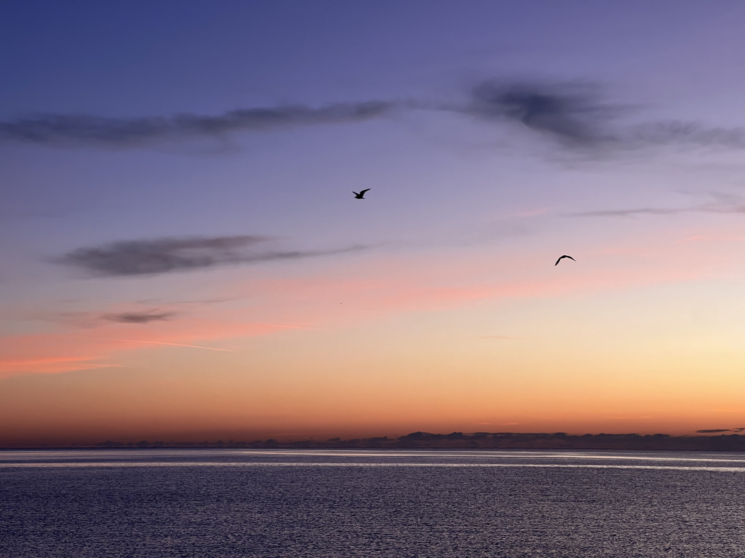 Wake up 2, golden hour, Antibes, France