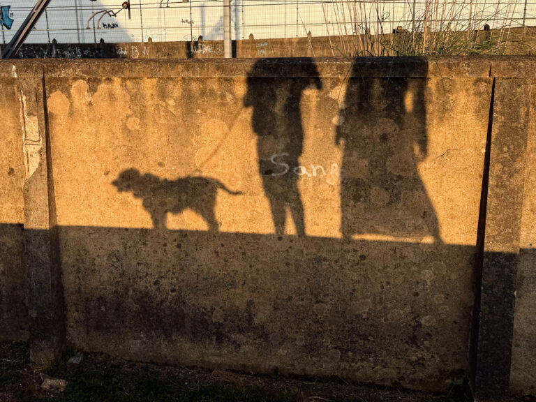 Nuestra familia