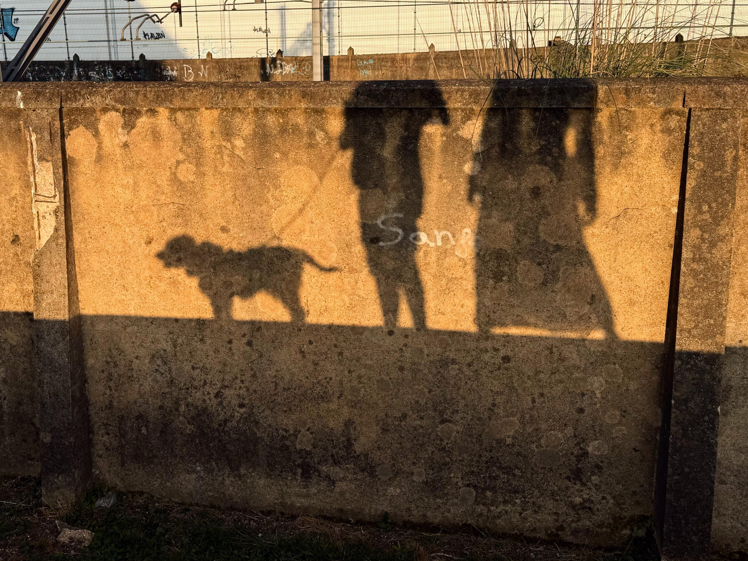 Nuestra familia