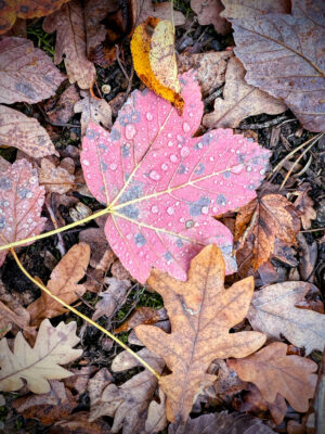November