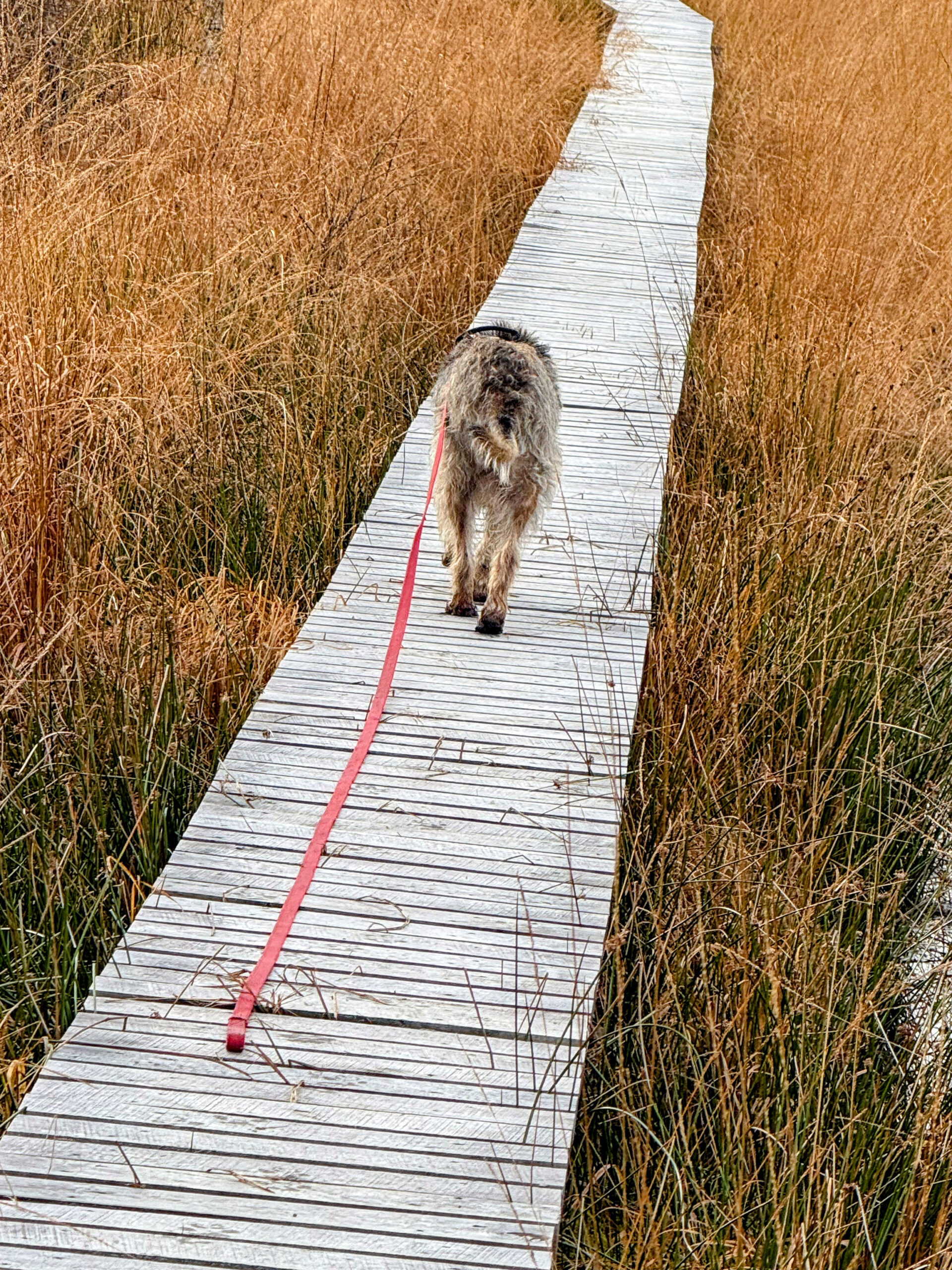 my last photo here. find me on bananaphoto.de