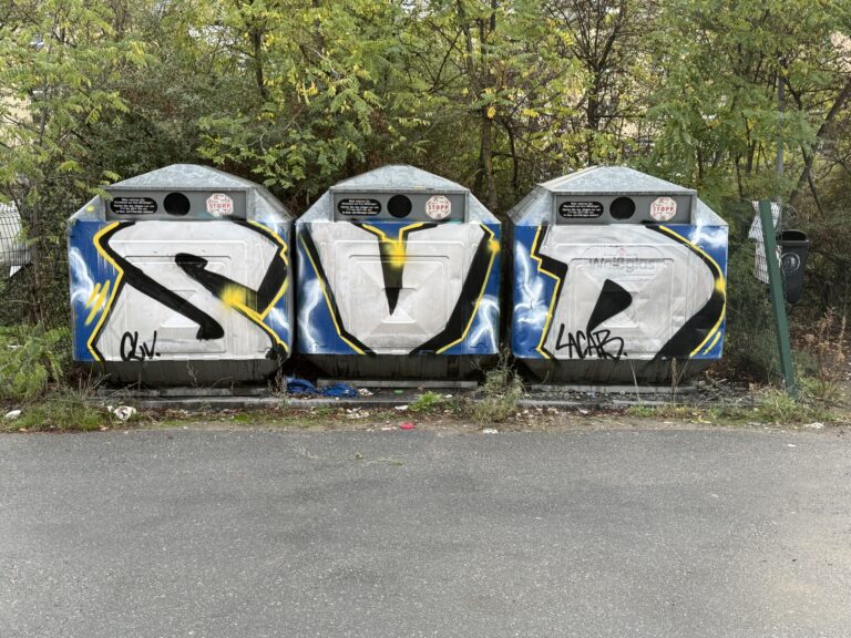 3 Altglascontainer, einer mit einem großen S, die anderen mit V und D beschriftet.