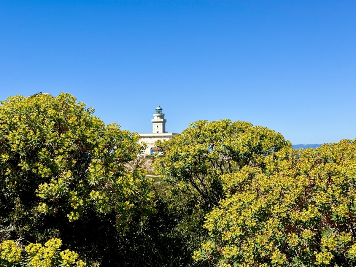 Blauer Himmel, Hecken und ein kleiner Leuchtturm in einiger Entfernung